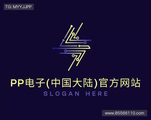 介绍PP电子